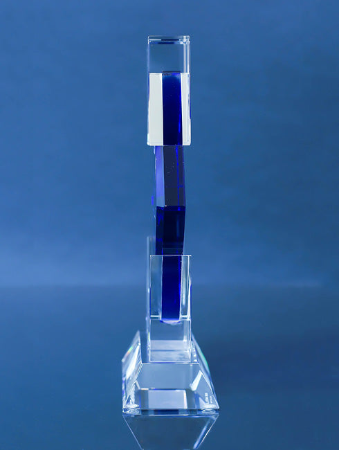 Change Agent Award
