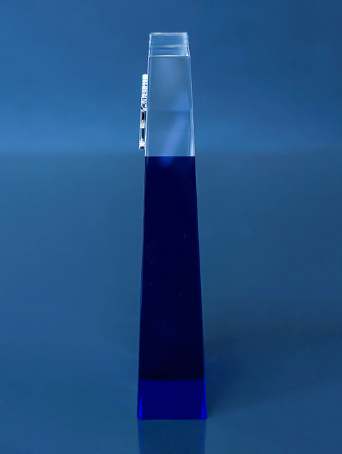 Community Award side profile view