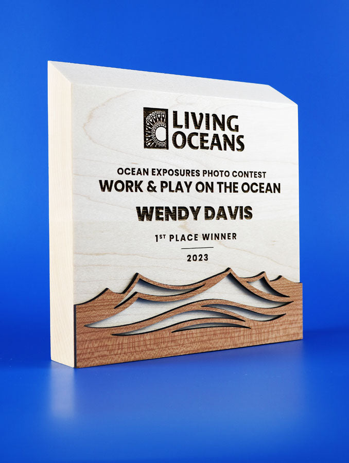Sunwood Waves Award