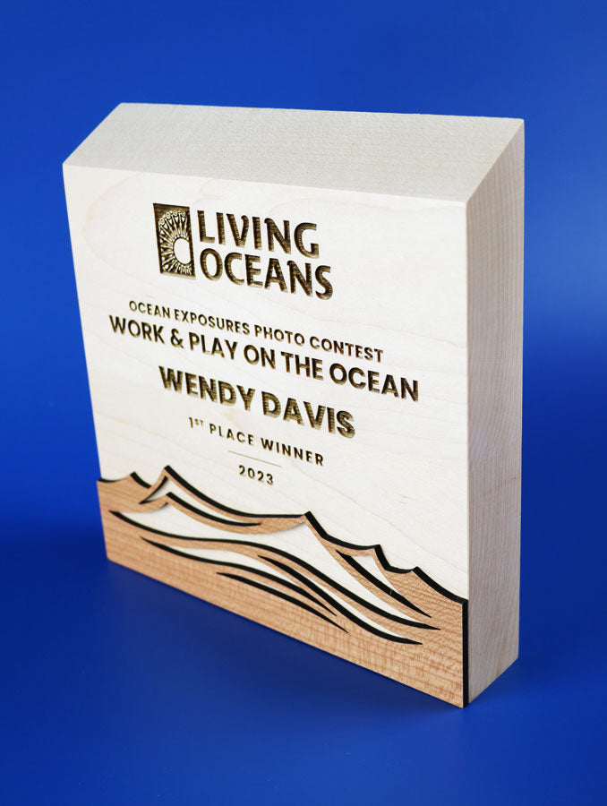Sunwood Waves Award