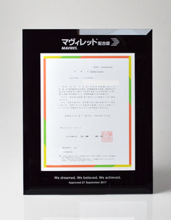 Integrity Display Frame | Wall-Mounted Deal Toy