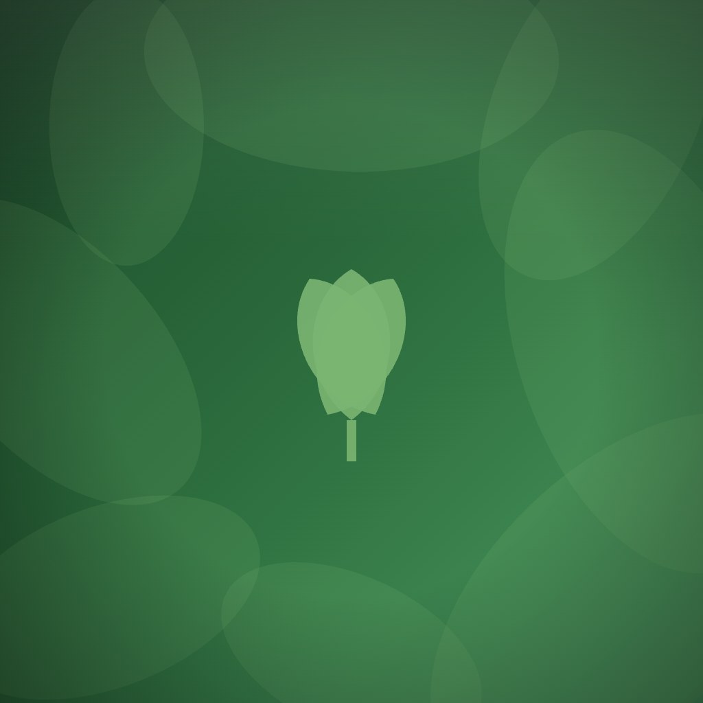 What are the most sustainable award options for employee recognition programs?