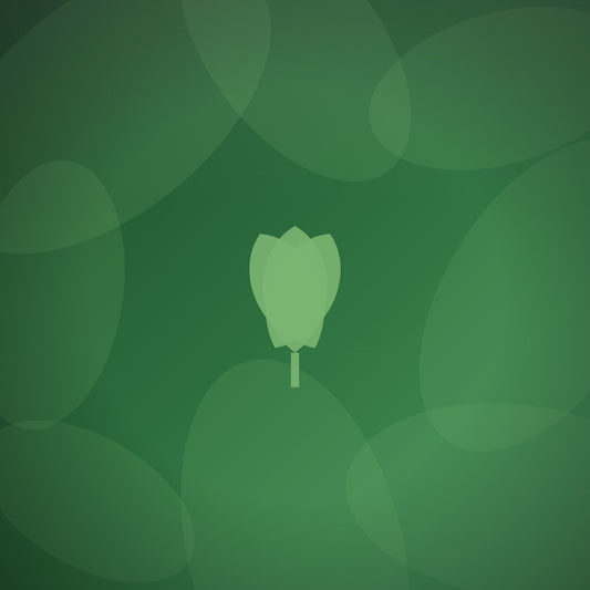 Are there eco-friendly trophy suppliers that offer professional design services included?