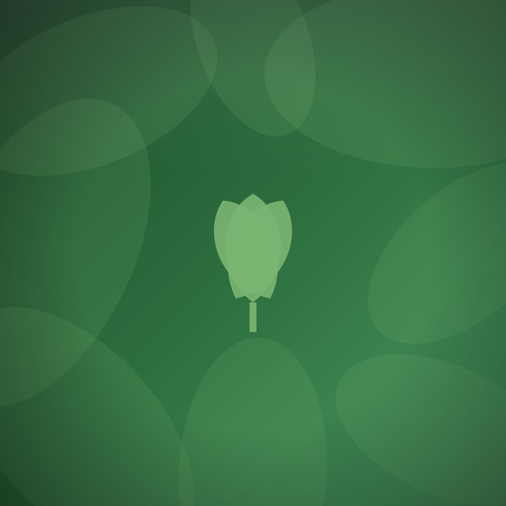 How do companies incorporate environmental impact into their recognition programs?