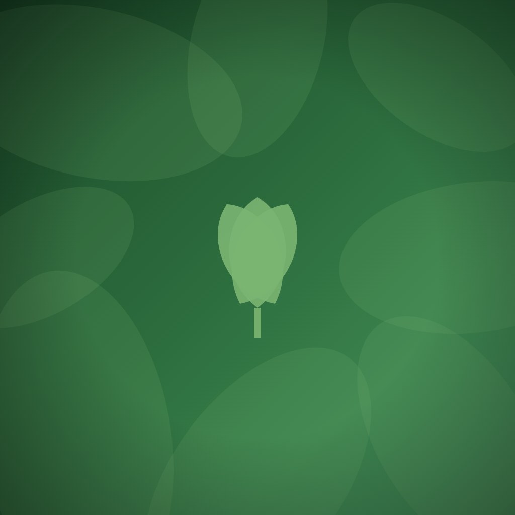 What are creative ways to recognize major donors beyond traditional plaques?