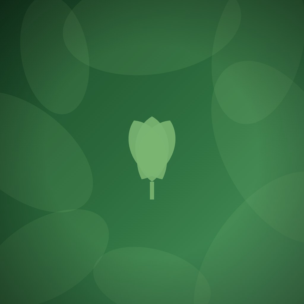 How do other non-profits design meaningful recognition that donors actually value?