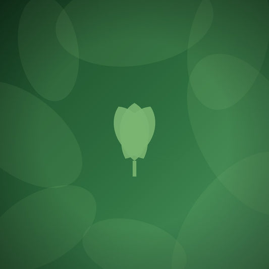 How do other non-profits design meaningful recognition that donors actually value?