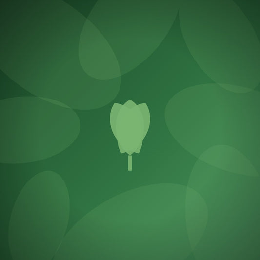 How do companies verify that their recognition suppliers are actually sustainable?