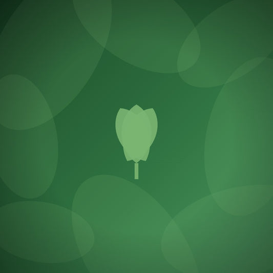 What are eco-friendly awards made from?