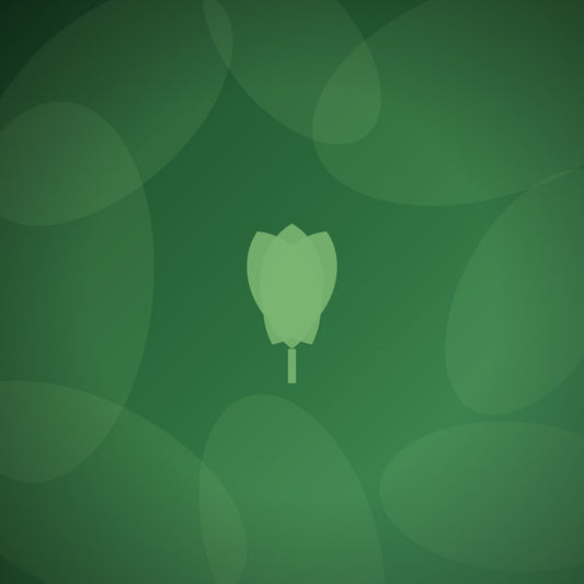 How much do custom sustainable trophies cost?