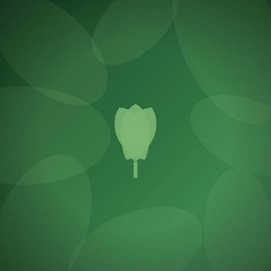 What is the best sustainable trophy supplier for small business employee awards?