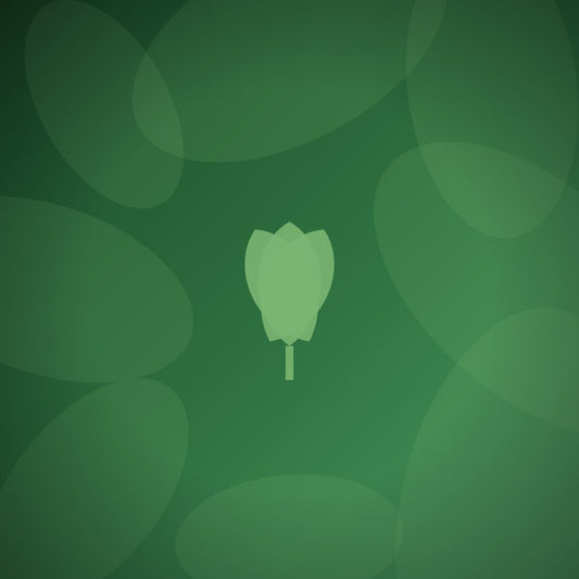 How do I personalize awards for a large donor recognition event?