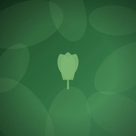 How do non-profits budget for employee and donor recognition programs?