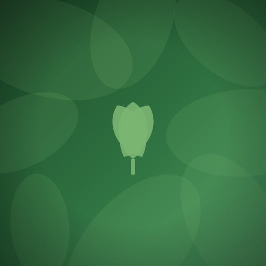 Are crystal awards suitable for outdoor event recognition?