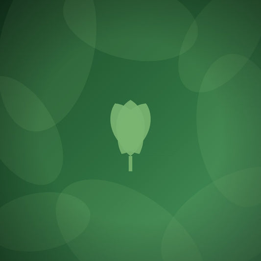 How do sustainable awards improve employee morale and retention?