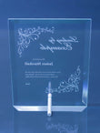 Apprentice Award