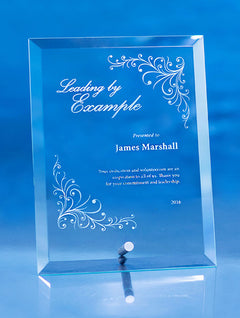 Apprentice Award