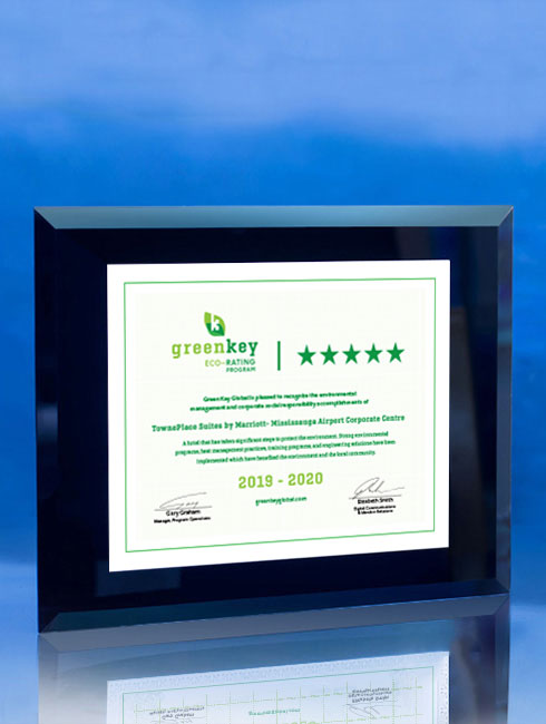 Integrity Display Frame | Wall-Mounted Deal Toy
