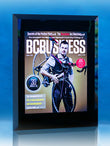 Integrity Display Frame | Wall-Mounted Deal Toy