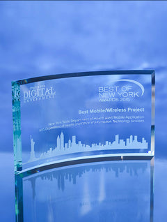 New Horizon Award