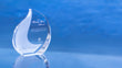 Streamline Crystal Award