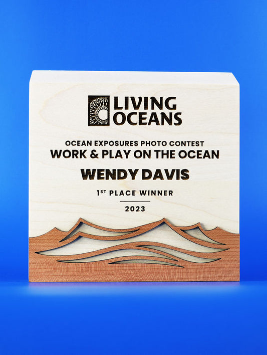 Sunwood Waves Award