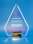 Elevation Crystal Award