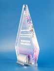 Elevation Crystal Award