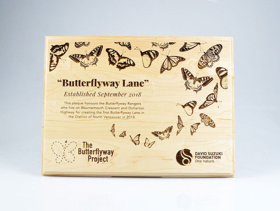 Pacific Wood Wall Plaque